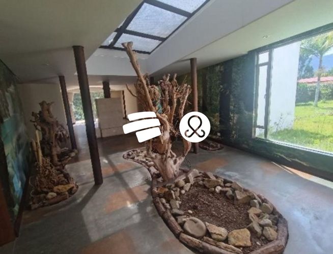 Finca en venta en El Carmen de Viboral, 6453 m² · foto 15 de 19