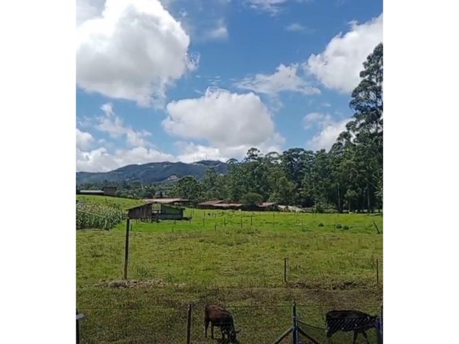 Casa de 3 alcobas en venta en Lomitas, La Ceja, 171 m² · foto 8 de 23