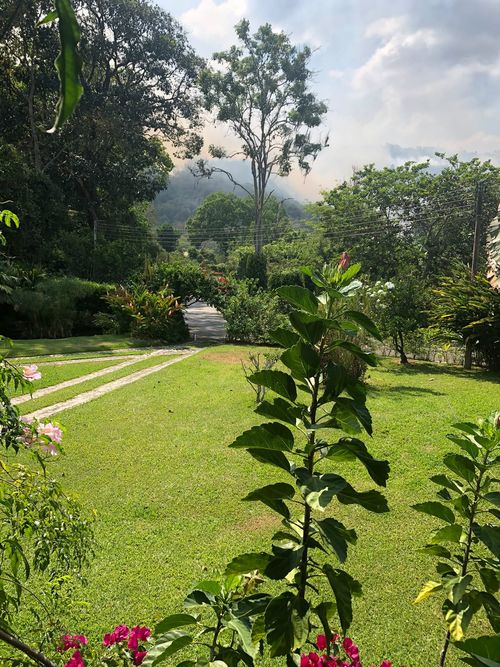Finca en venta en Menzuly, Piedecuesta, 540 m² · foto 3 de 15