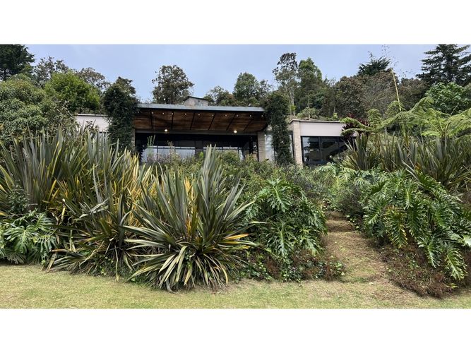 Finca en venta en El Tambo, La Ceja, 197 m² · foto 6 de 24
