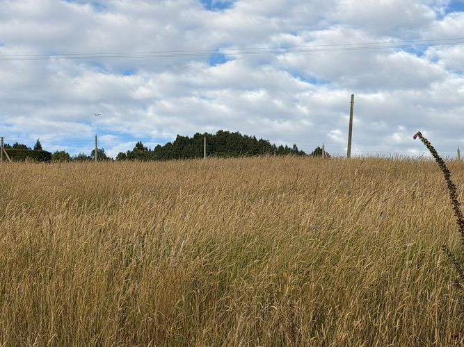 Lote en venta en Yerbabuena, Sopó, 1964 m² · foto 4 de 5