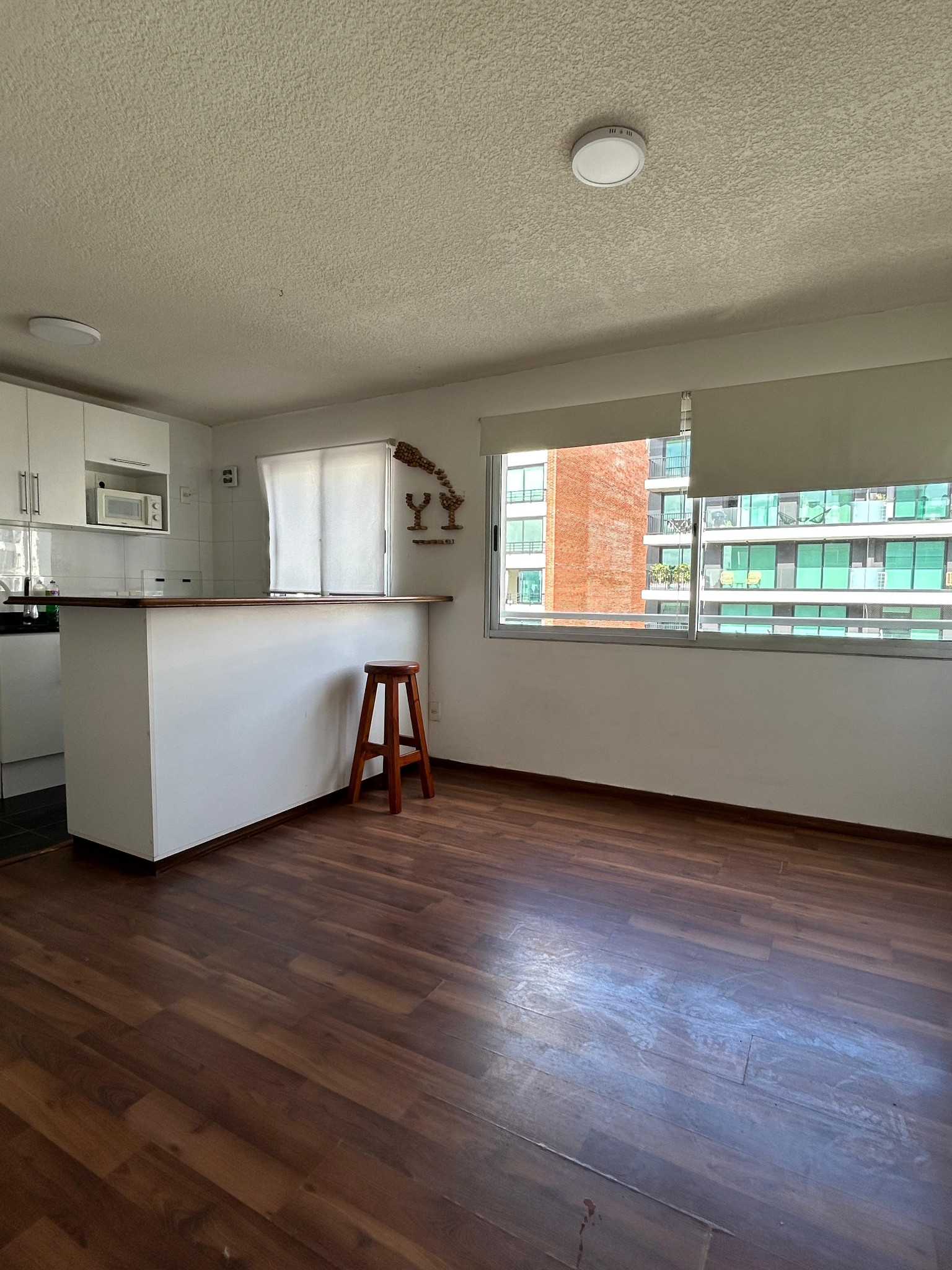 Acogedor apartamento 1 dormitorio con vigilancia, edificio tranquilo y bien ubicado · Foto 3