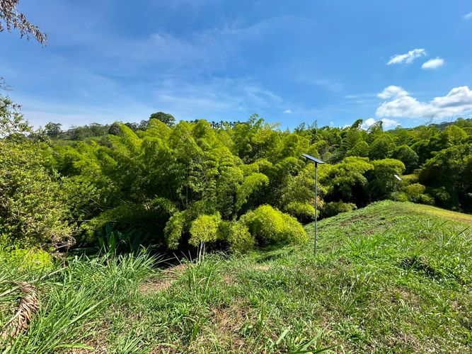Lote en venta en San Bernardo Del Viento, Manizales, 3161 m² · foto 5 de 24