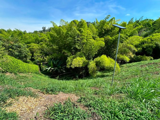 Lote en venta en San Bernardo Del Viento, Manizales, 3161 m² · foto 7 de 24
