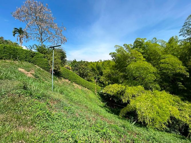 Lote en venta en San Bernardo Del Viento, Manizales, 3161 m² · foto 8 de 24