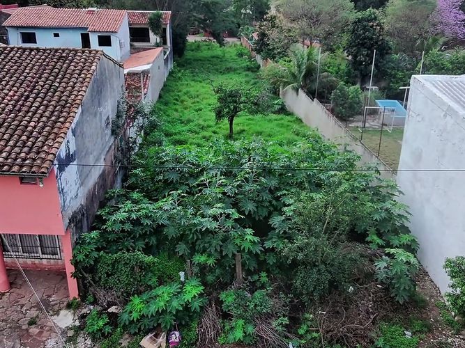 Vendo terreno 1111 m2 de calle a calle en Lambaré - foto 4