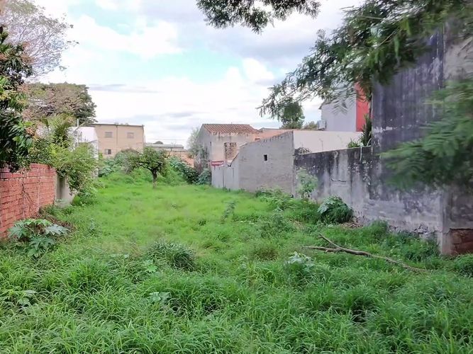 Vendo terreno 1111 m2 de calle a calle en Lambaré - foto 5
