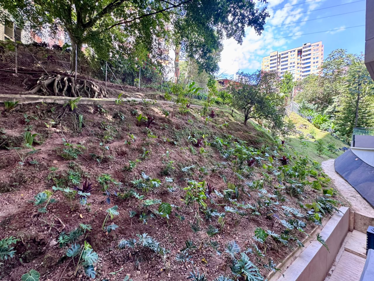 Apartaestudio en arriendo en Señorial, Envigado · foto 12 de 17