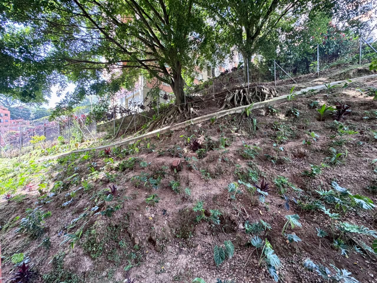 Apartaestudio en arriendo en Señorial, Envigado · foto 13 de 17