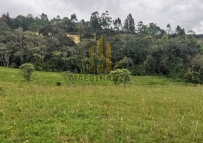 Lote en venta en Loma Del Chocho, Envigado, 2099 m² · foto 7 de 8