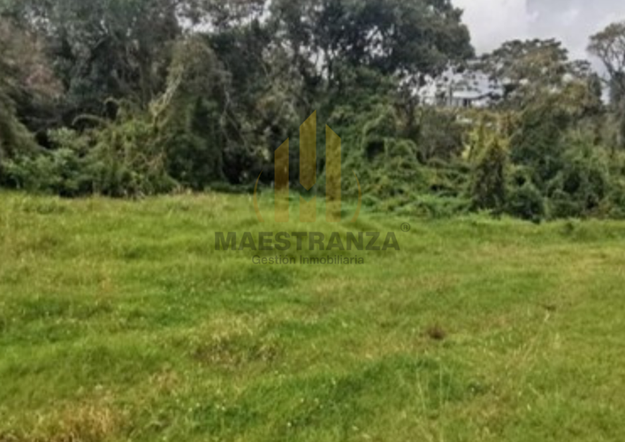 Lote en venta en Loma Del Chocho, Envigado, 2099 m² · foto 8 de 8