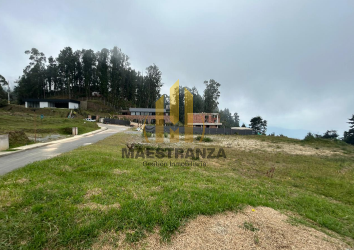 Lote en venta en Loma Del Escobero, Envigado · foto 4 de 9