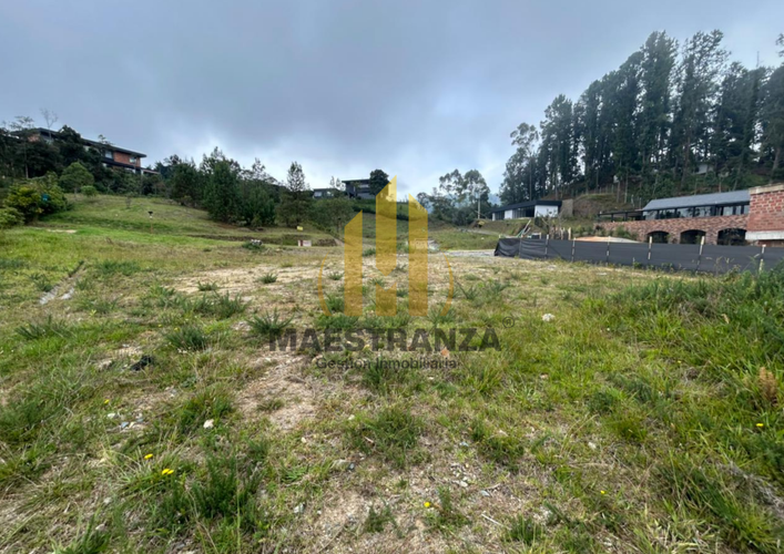 Lote en venta en Loma Del Escobero, Envigado · foto 5 de 9
