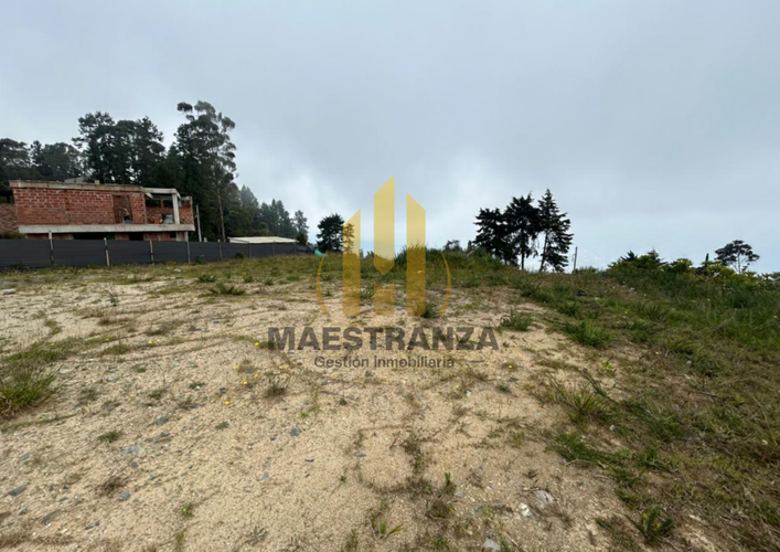 Lote en venta en Loma Del Escobero, Envigado · foto 6 de 9