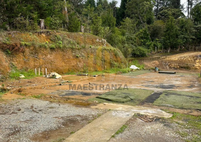 Finca en venta en La Charanga, Guarne, 200 m² · foto 9 de 16