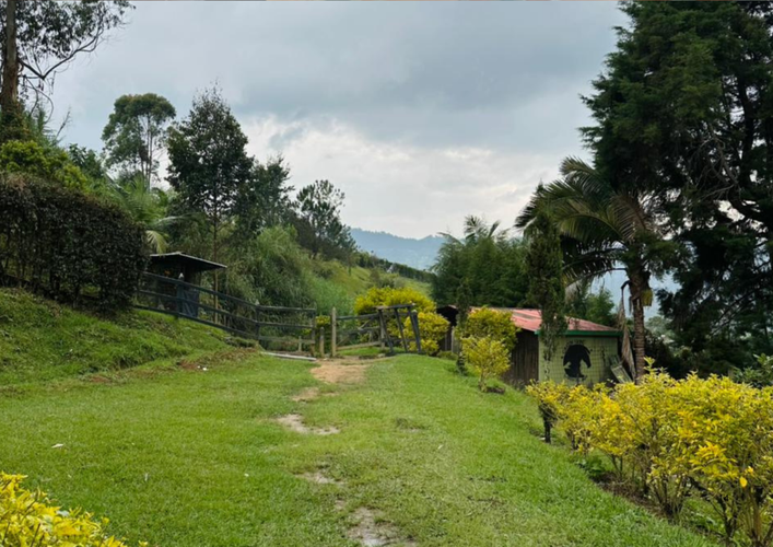 Finca en venta en La Charanga, Guarne, 200 m² · foto 16 de 16