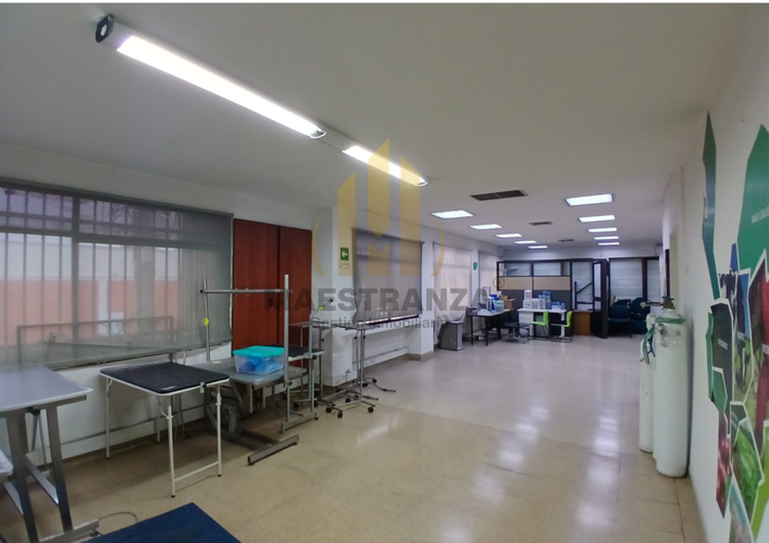 Oficina en arriendo en Las Vegas, Itagüí, 233 m² · foto 10 de 12