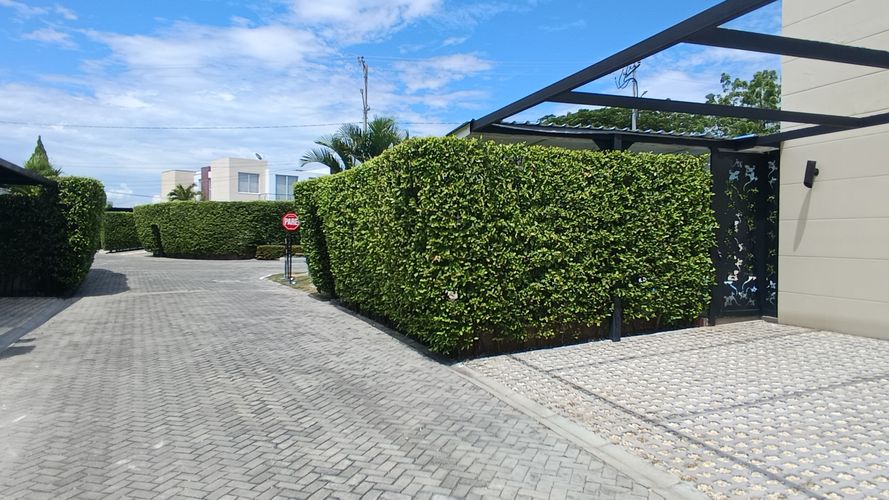 Casa de 3 alcobas en venta en Ricaurte, 100 m² · foto 16 de 20