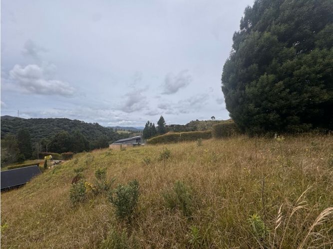 Lote en venta en Las Palmas, Envigado, 1637 m² · foto 5 de 7
