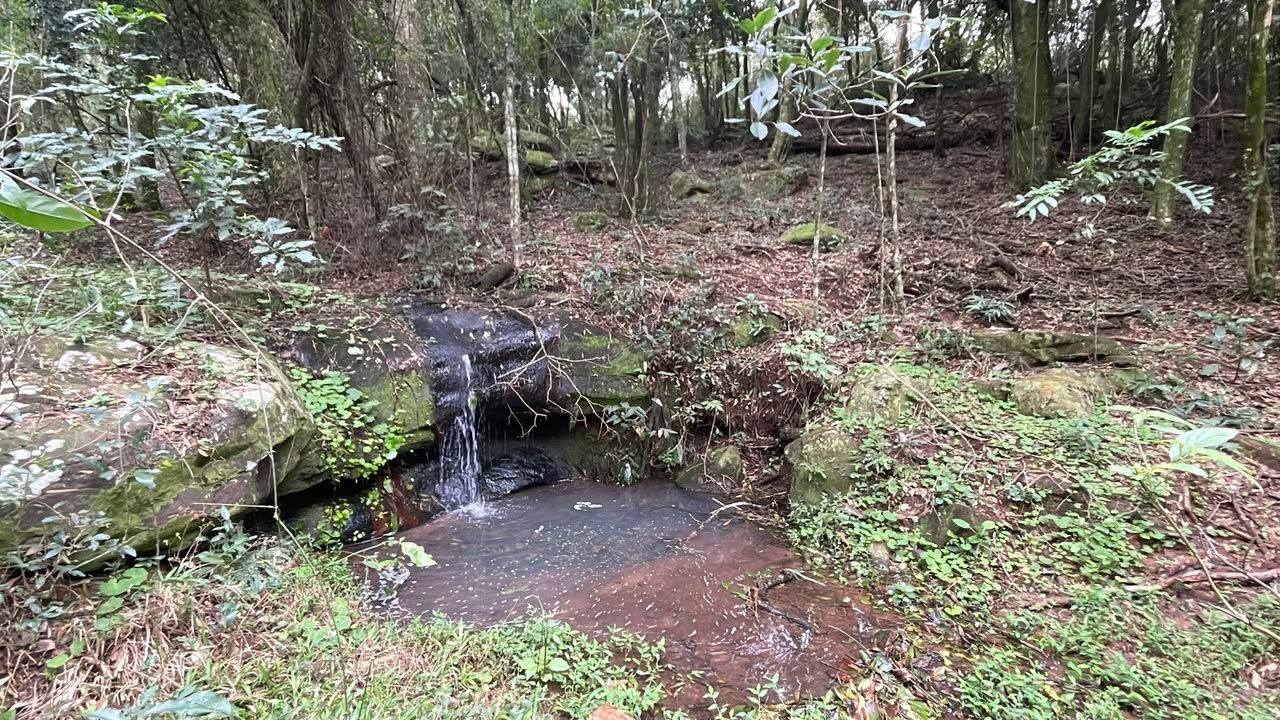 Chacra o Campo en Venta — foto 3