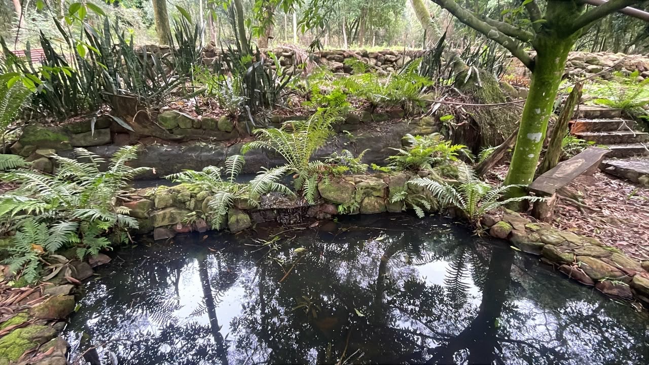 Chacra o Campo en Venta — foto 2
