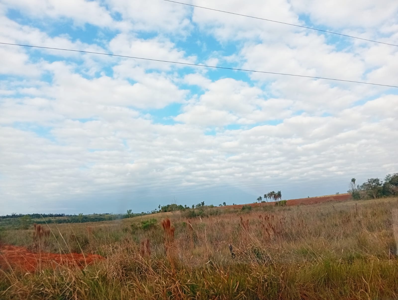 TERRENO DE 145 HECTÁREAS EN CAAGUAZÚ EN VENTA — foto 2