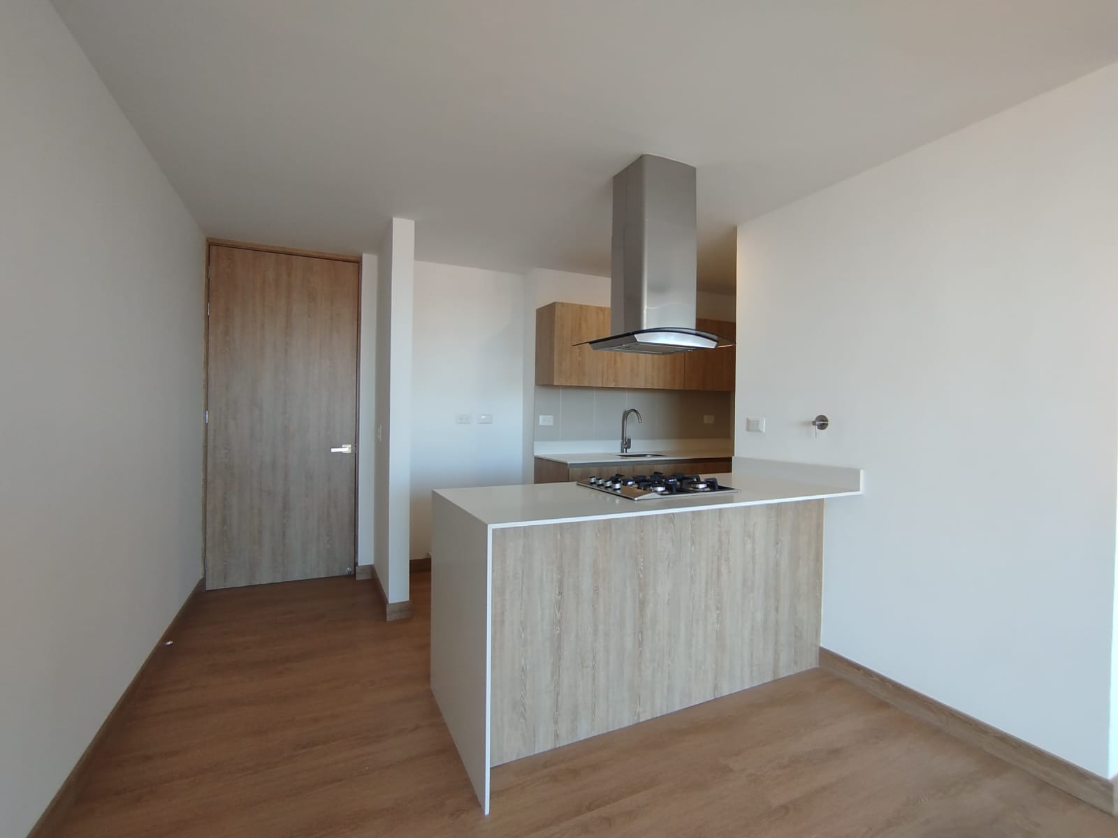 1BR Apartment in Centro (48 m²)