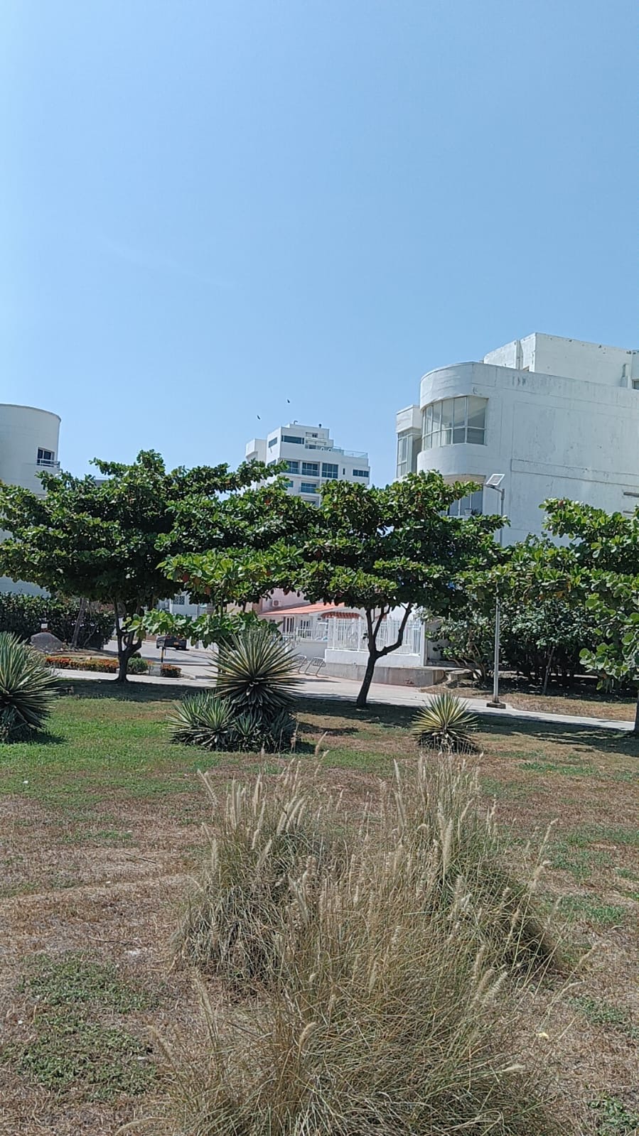 Apartamento en venta en Crespo, Cartagena · foto 3 de 19