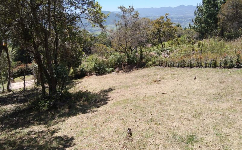 Lote en venta en Yerbabuena, Chía, 1836 m² · foto 5 de 10