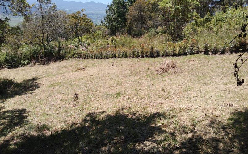 Lote en venta en Yerbabuena, Chía, 1836 m² · foto 6 de 10