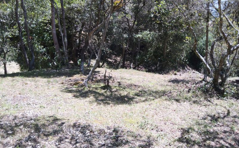 Lote en venta en Yerbabuena, Chía, 1836 m² · foto 9 de 10