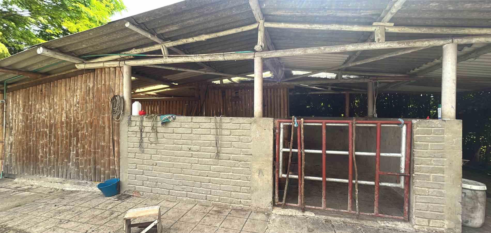 Casa en venta en Morelia, Pereira · foto 3 de 14