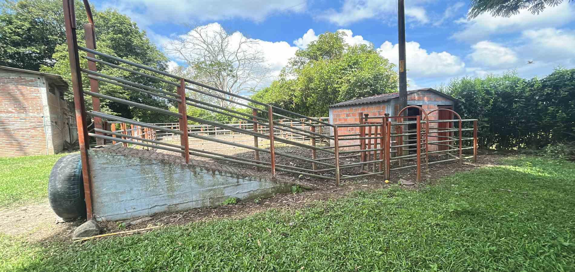Casa en venta en Morelia, Pereira · foto 5 de 14