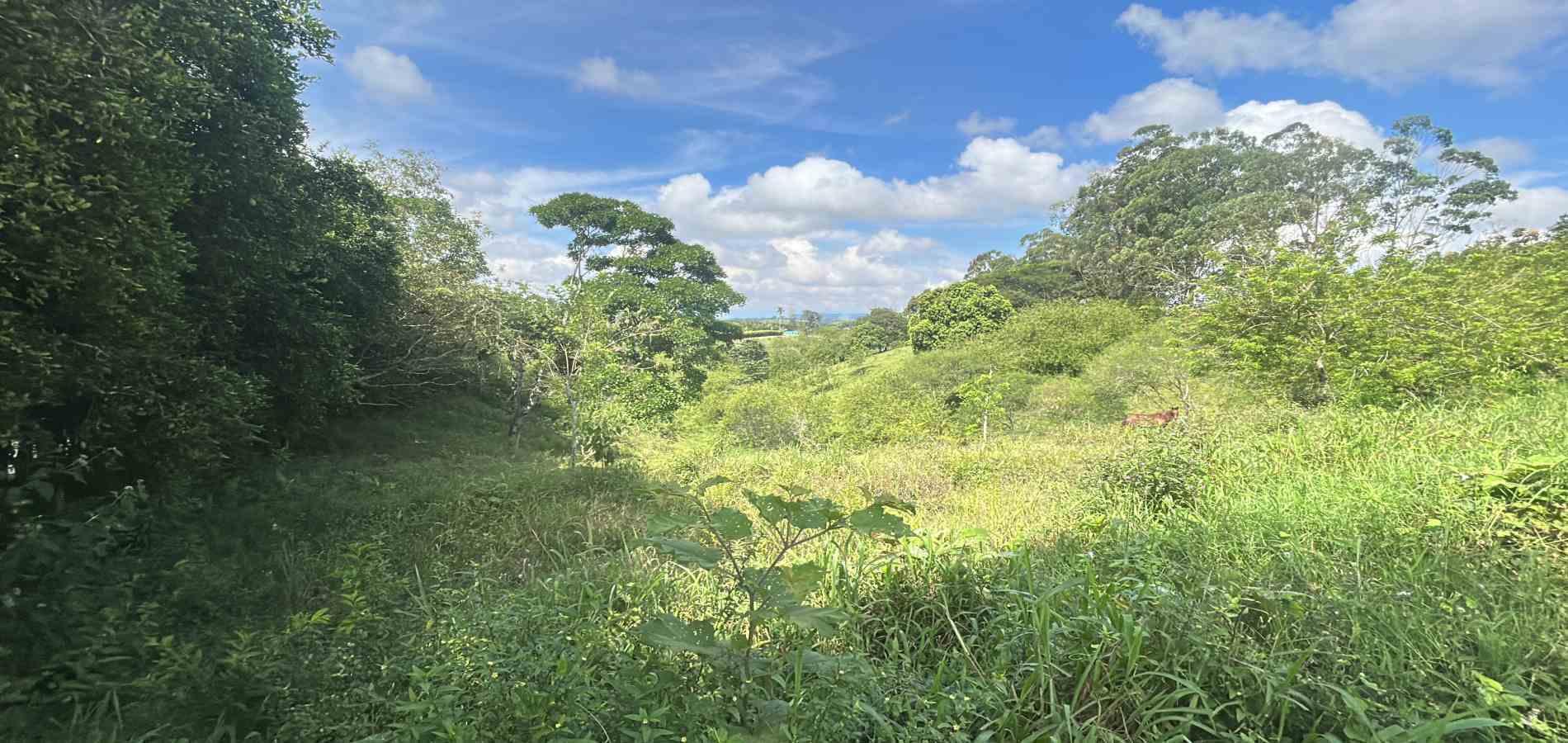 Casa en venta en Morelia, Pereira · foto 6 de 14