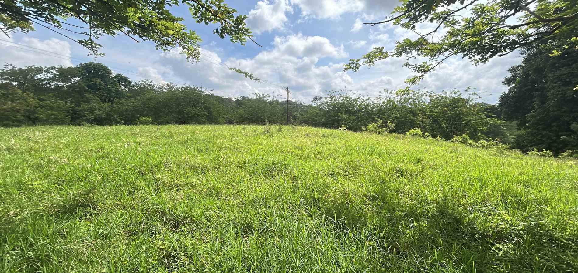 Casa en venta en Morelia, Pereira · foto 7 de 14