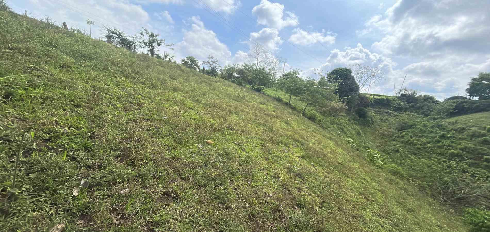 Casa en venta en Morelia, Pereira · foto 13 de 14