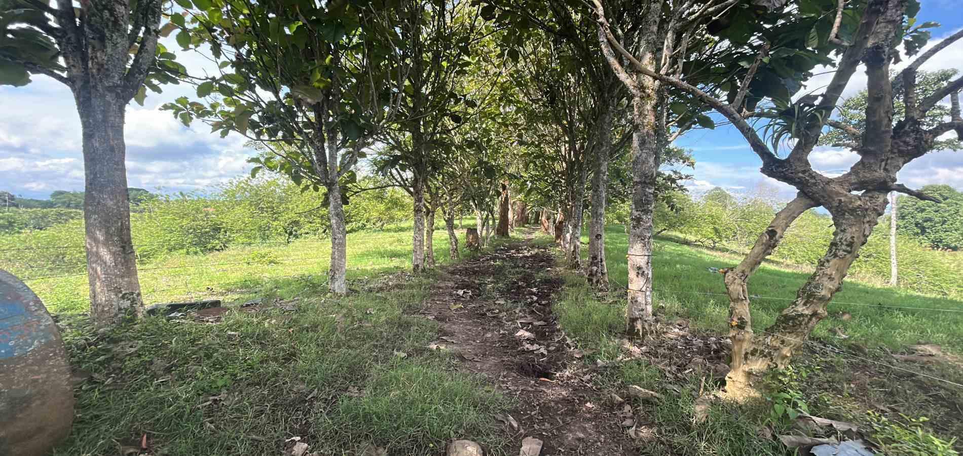 Casa en venta en Morelia, Pereira · foto 14 de 14
