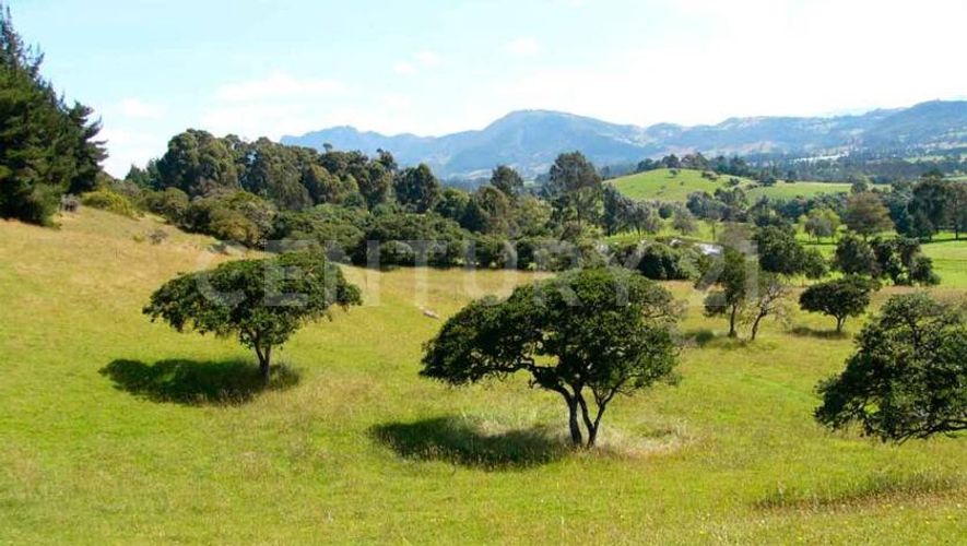 Lote en venta en Santa Isabel, La Calera, 2504 m² · foto 6 de 14