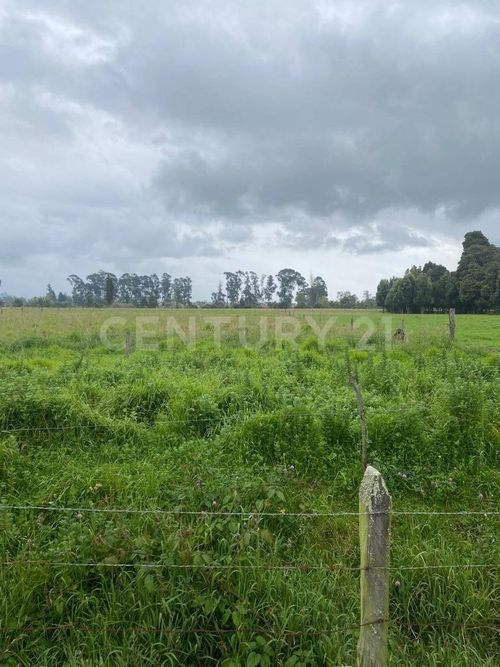 Lote en venta en La Granja, Zipaquirá, 8428 m² · foto 2 de 10