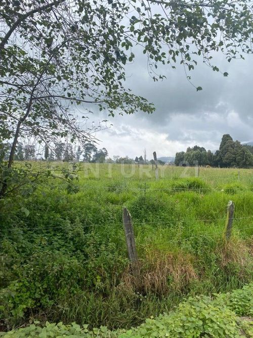 Lote en venta en La Granja, Zipaquirá, 8428 m² · foto 4 de 10