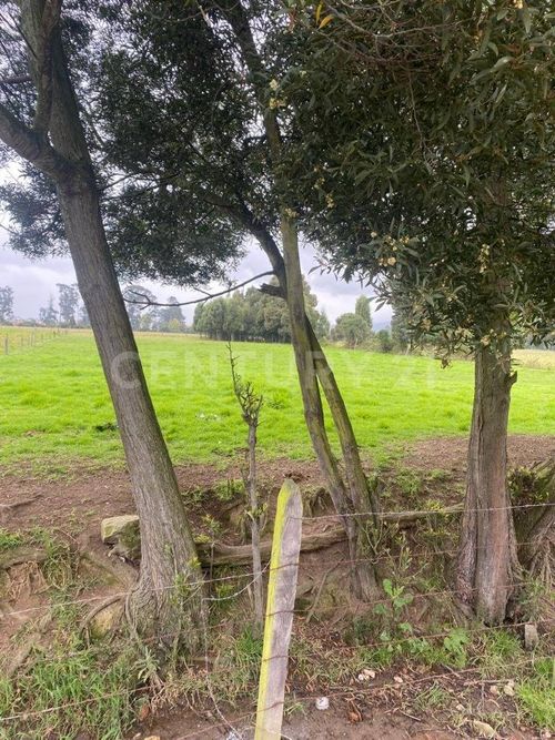 Lote en venta en La Granja, Zipaquirá, 8428 m² · foto 7 de 10