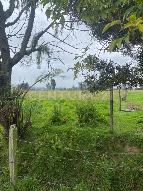 Lote en venta en La Granja, Zipaquirá, 8428 m² · foto 8 de 10