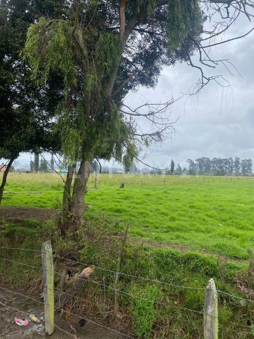 Lote en venta en La Granja, Zipaquirá, 8428 m² · foto 9 de 10
