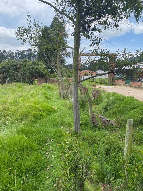 Lote en venta en La Granja, Zipaquirá, 8428 m² · foto 10 de 10