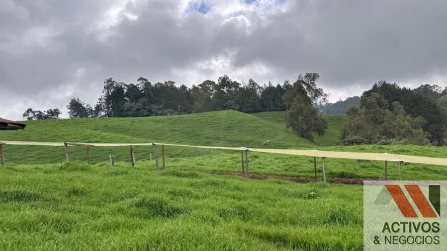 Finca en venta en San Felix, Bello, 63 m² · foto 3 de 19