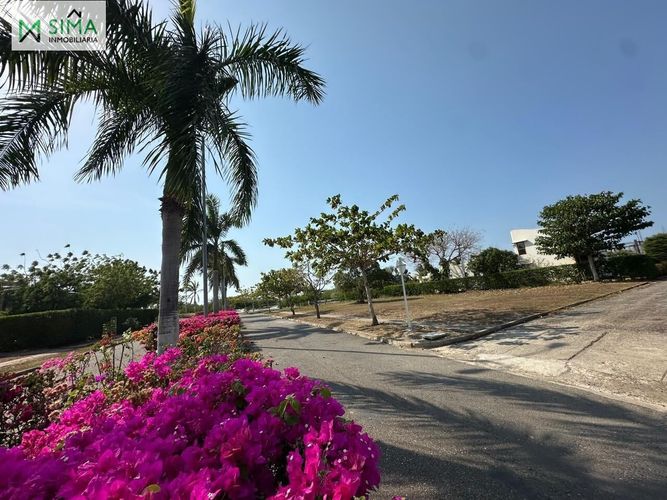 Lote en venta en La Boquilla, Cartagena · foto 20 de 24