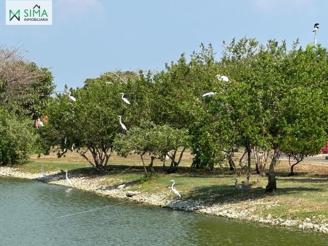 Lote en venta en La Boquilla, Cartagena · foto 13 de 24