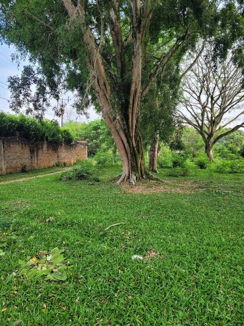 Lote en venta en Pance, Cali, 2207 m² · foto 2 de 8