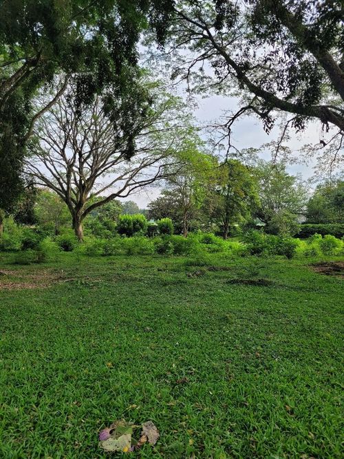 Lote en venta en Pance, Cali, 2207 m² · foto 5 de 8