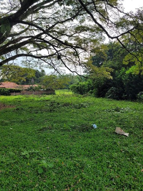 Lote en venta en Pance, Cali, 2207 m² · foto 6 de 8